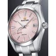 SBGA497G