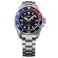SNE595P1