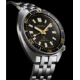 SPB315J1